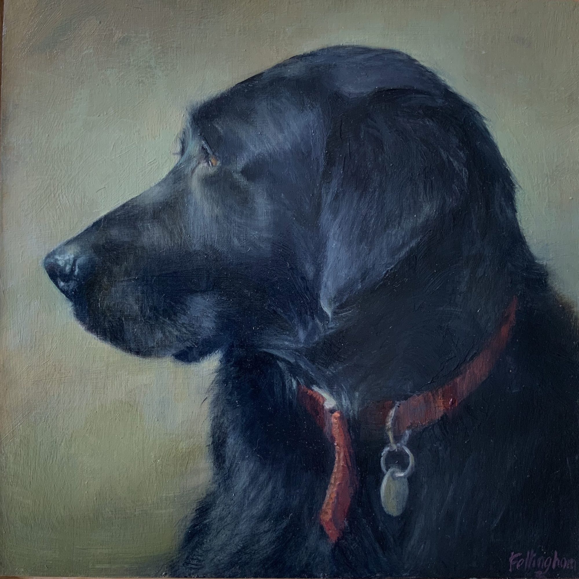 Black Labrador Dog Portrait