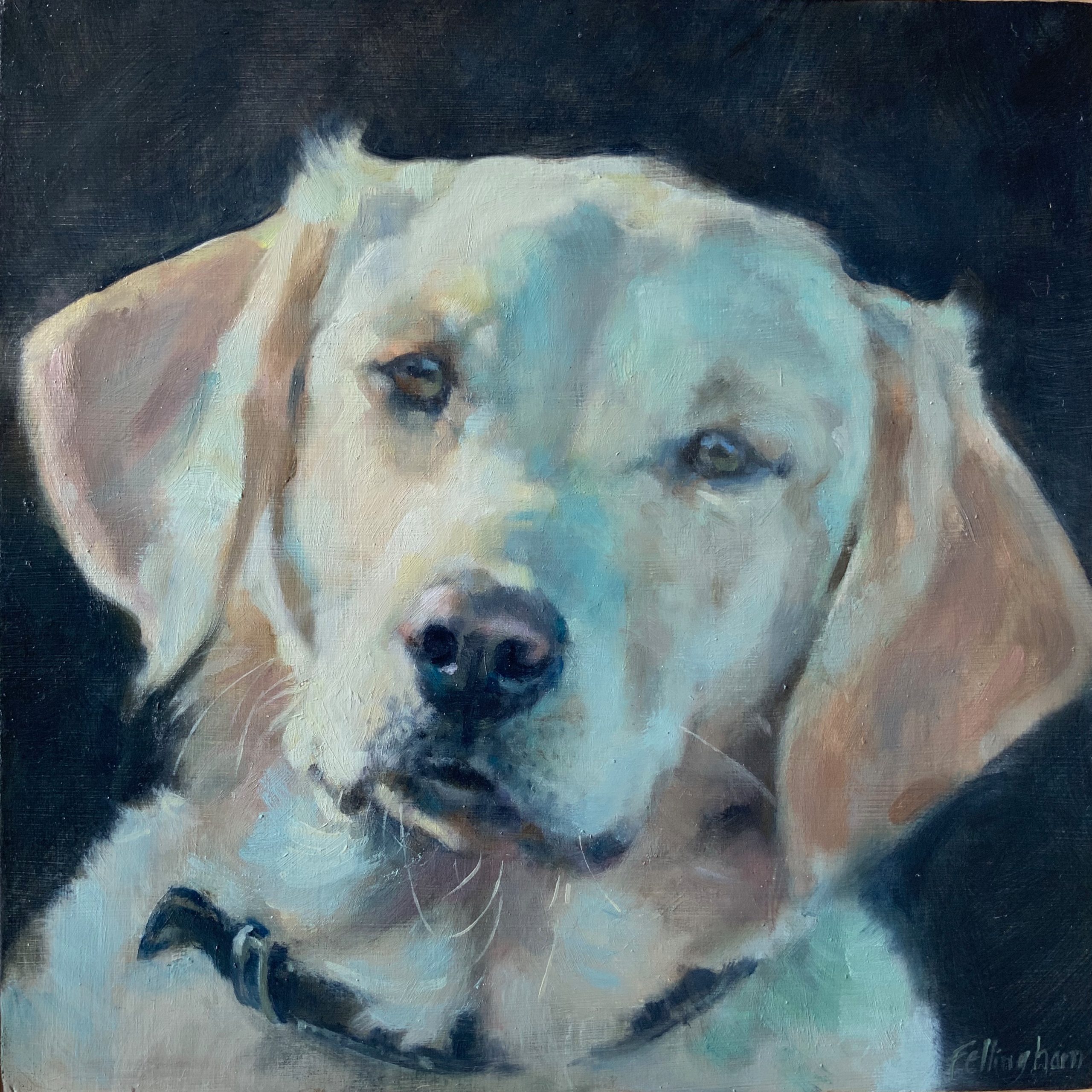 Golden Labrador- dog portrait artist