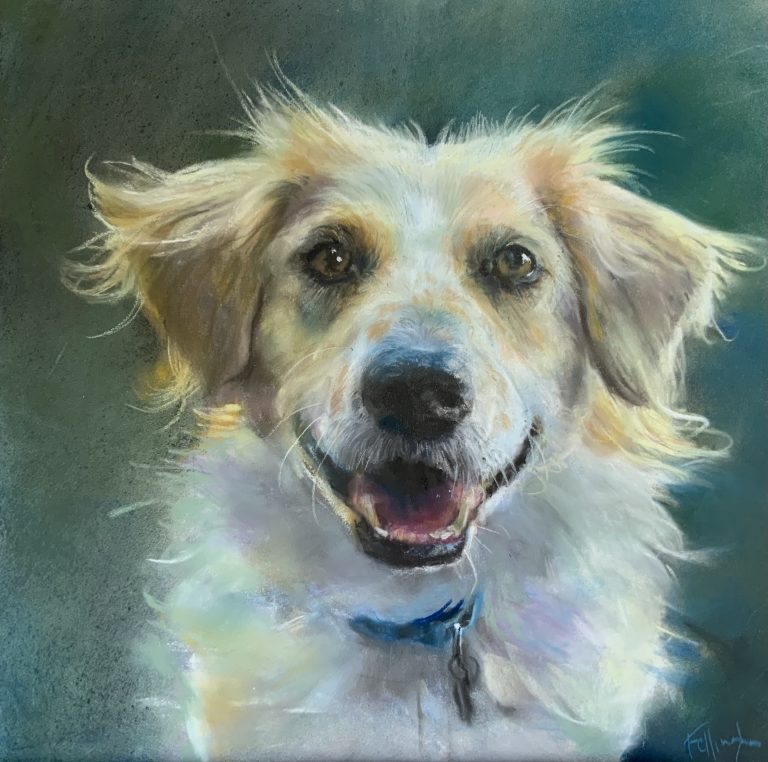 dog pet portrait oil painting